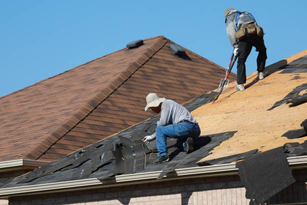 Best Gutter Installation and Repair  in Mulvane, KS